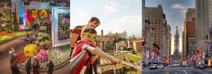 Global Travel and Culture