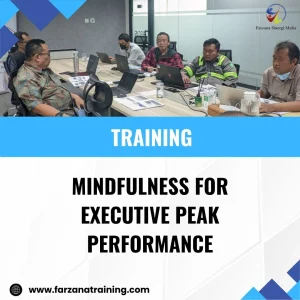 TRAINING MINDFULNESS FOR EXECUTIVE PEAK PERFORMANCE