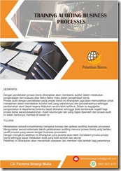 pelatihan Auditing Business Processes online