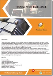 pelatihan Audit Excellence online