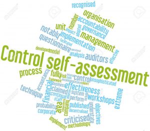 CONTROL SELF ASSESSMENT (CSA)