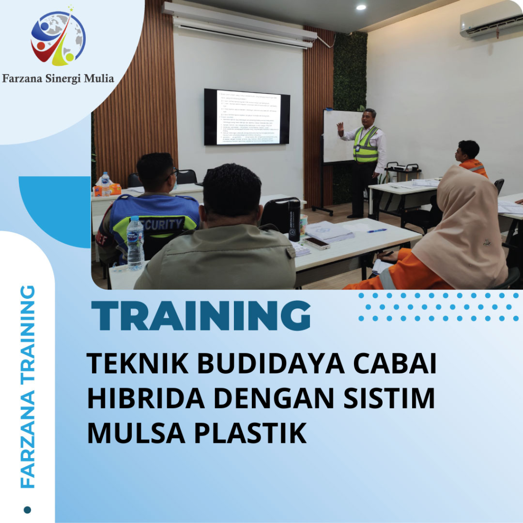 TRAINING TEKNIK BUDIDAYA CABAI HIBRIDA DENGAN SISTIM MULSA PLASTIK
