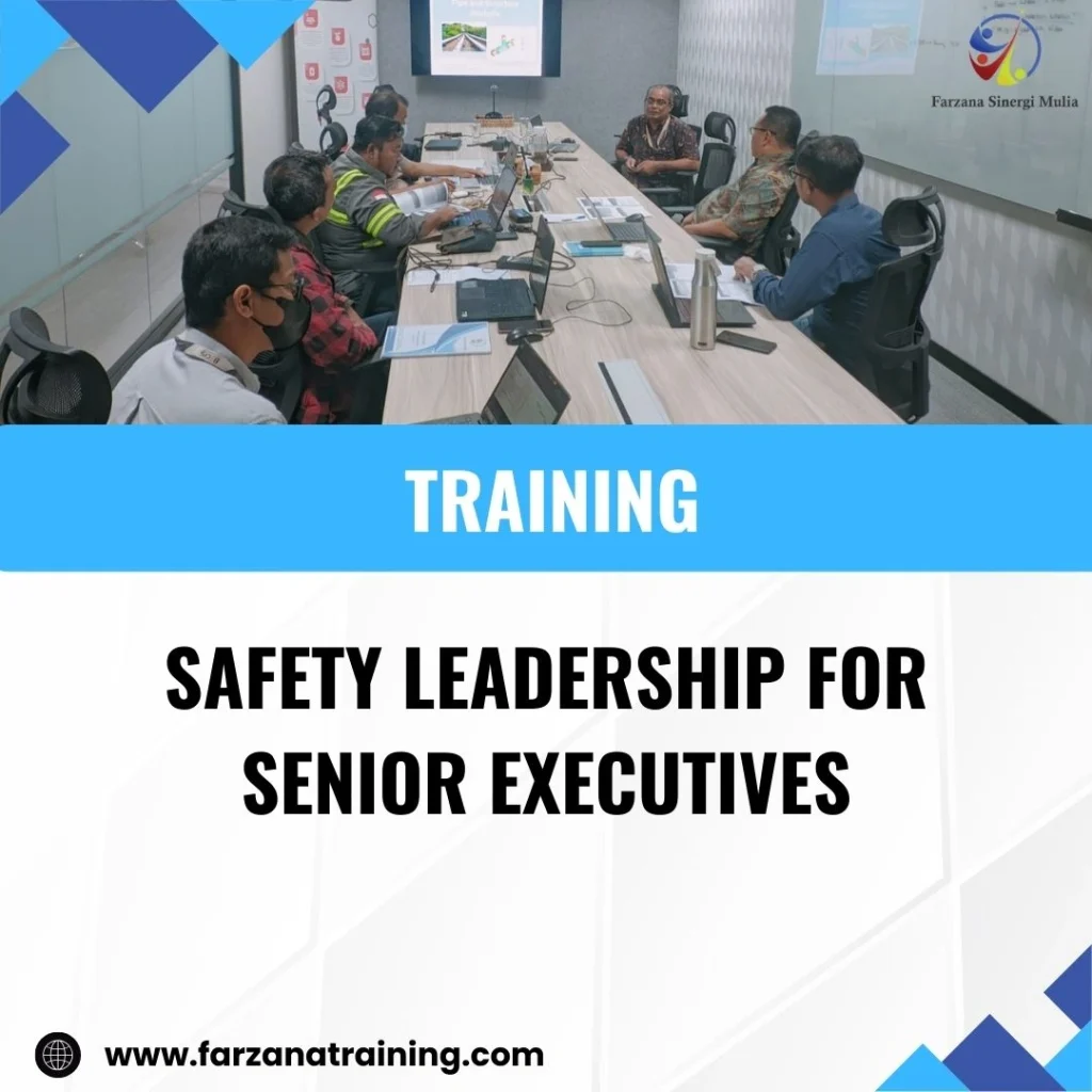 TRAINING SAFETY LEADERSHIP FOR SENIOR EXECUTIVES
